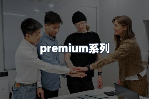 premium系列